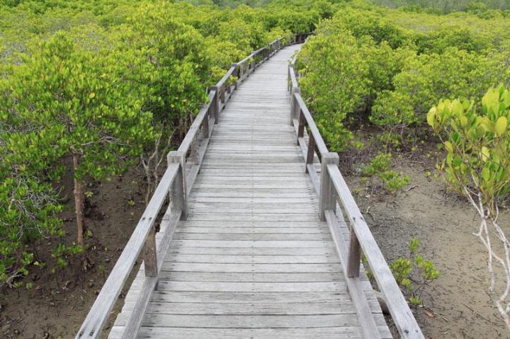 Confiez la conception et la fabrication de vos ponts en bois à une entreprise fiable